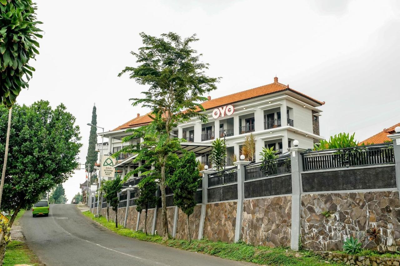 Avila Ketapan Rame Hotel بريغين المظهر الخارجي الصورة